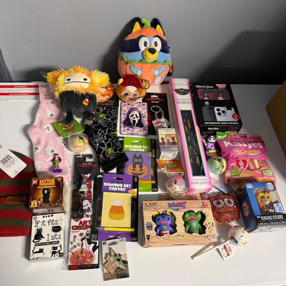 Mystery Box 25+ Lot Bluey Squishmallow Ghost Face Terrifier Funko Fuggler Toys